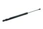 Ammortizzatore cofano bagagliaio 5G9827550 B14193 VW Golf 7 Borsehung