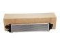Intercooler Renault Opel Nissan Fiat 144614882R Originale