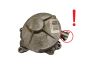 Pompa Vuoto 8200520476 2.0 DCI Renault Bosch 5169