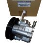 Pompa Servosterzo Nuovo Originale 491100021R Renault