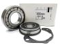 Cuscinetto Originale Citroen Peugeot ML6C 237273 N40701H100 28TMO7