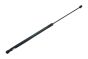 Ammortizzatore cofano bagagliaio 3B0823359C B14187 VW Audi Seat Borsehung