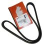 Cinghia Alternatore Originale 1606349580 Citroen Peugeot