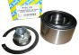 Cuscinetto Ruota Anteriore Fare Renault R155.123 402105733R SNR