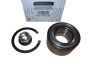 Cuscinetto Ruota Posteriore Originale 402109533R Renault Dacia