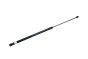 Ammortizzatore cofano motore 8T0823359 B18428 Audi A4 A5 Borsehung