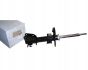 Ammortizzatore Anteriore Originale Renault Clio III 8200676029