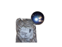 Coperchio Posteriore Nuovo Originale 374048 3740.48 Citroen Peugeot