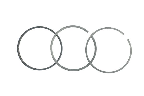 Fasce elastiche Fare Audi 06E198151G B19049 Borsehung main product photo