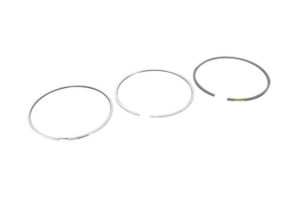 Fasce elastiche Fare VW Audi 06J198151K B10364 Borsehung main product photo