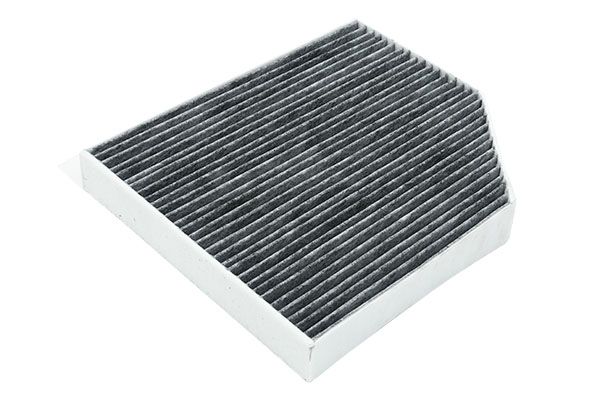 Filtro Polline Fare Audi 8K0819439A B12801 Borsehung main product photo