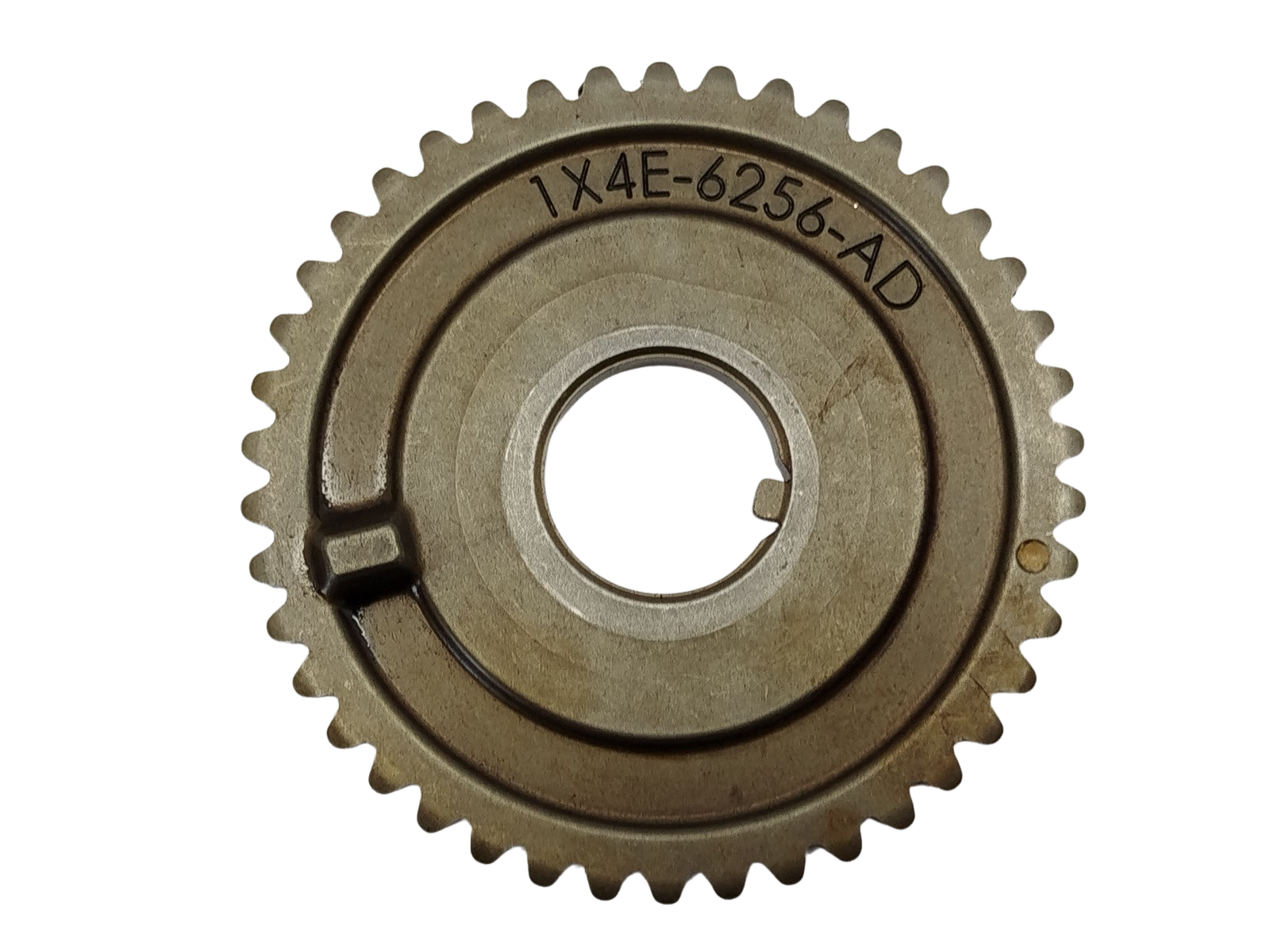 Ruota distribuzione Jaguar 1X4E-6256-AD 2.5 V6 main product photo